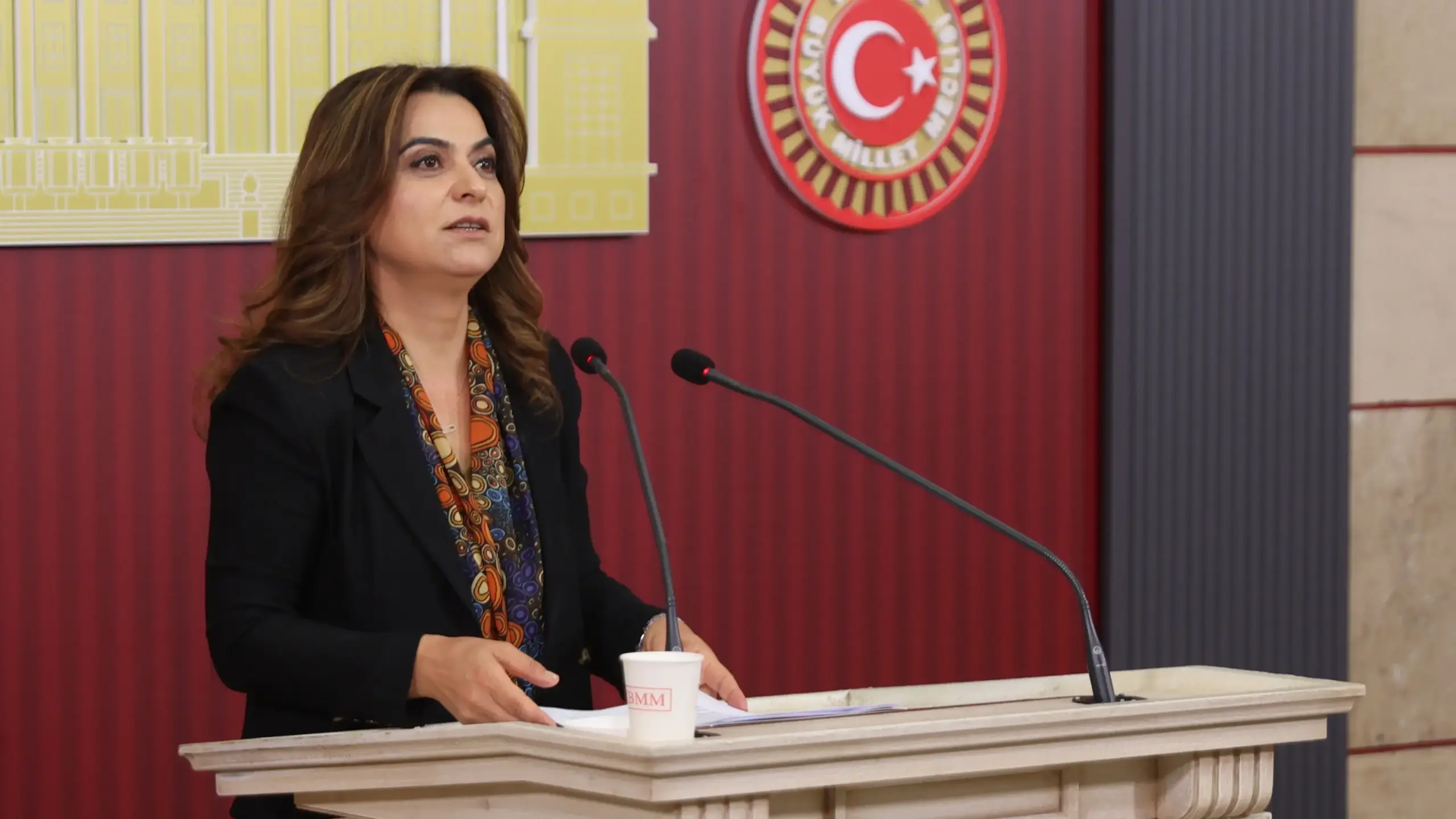 DEM Parti’den iktidar ve Meclis’e ‘yasal çerçeve’ çağrısı: