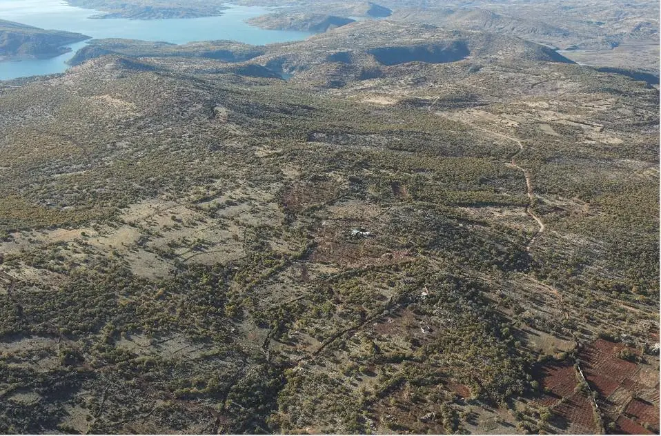 Dicle’de GES projesine karşı dava — 'Binlerce ağaç kesilecek, su havzaları zarar görecek' görseli