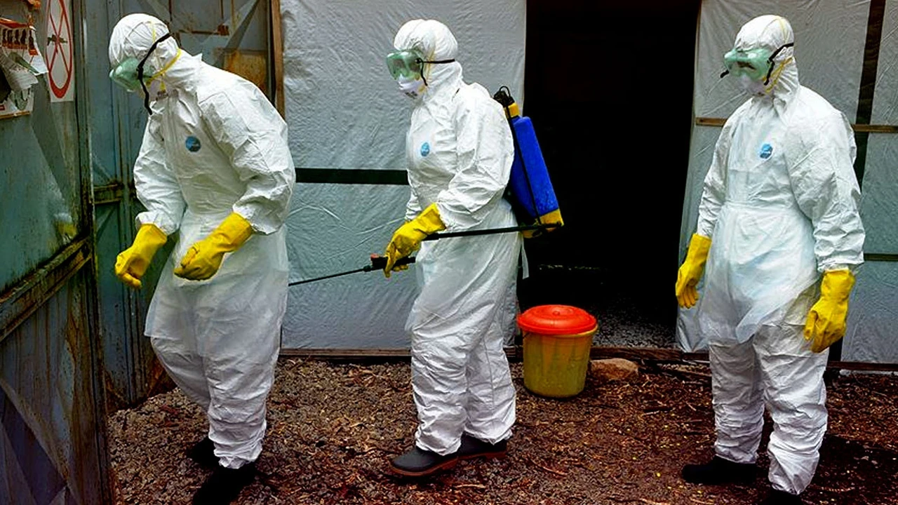Brezilya’da iki şüpheli Ebola vakası