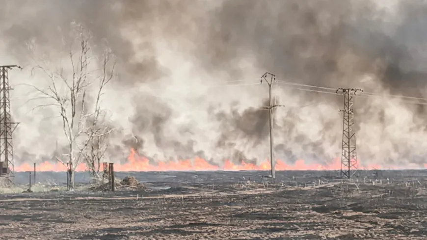 rojava-3