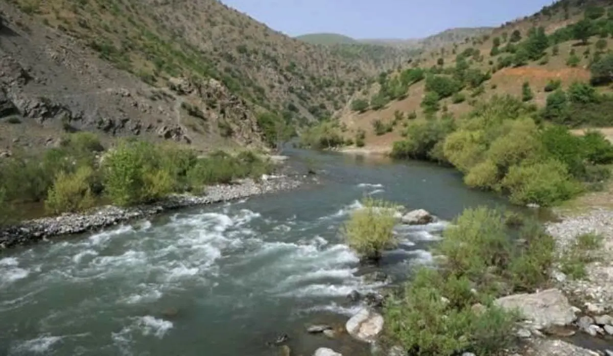 sarım çayı
