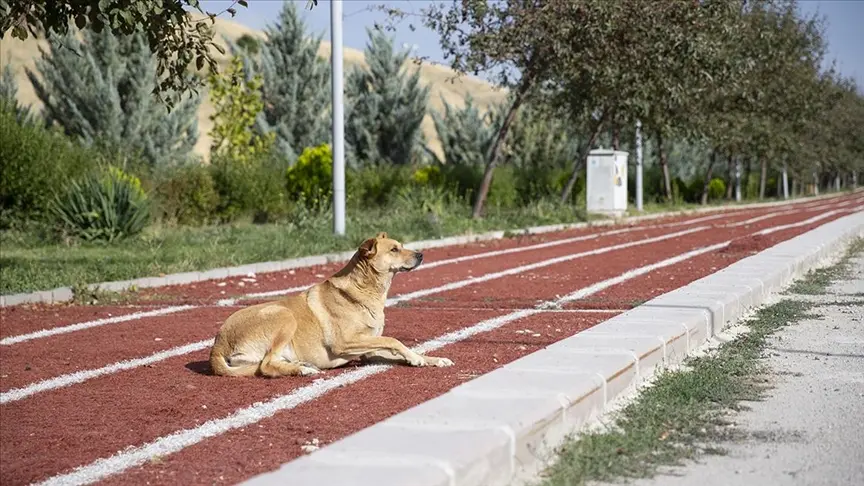 Belediyelere yazı gönderildi