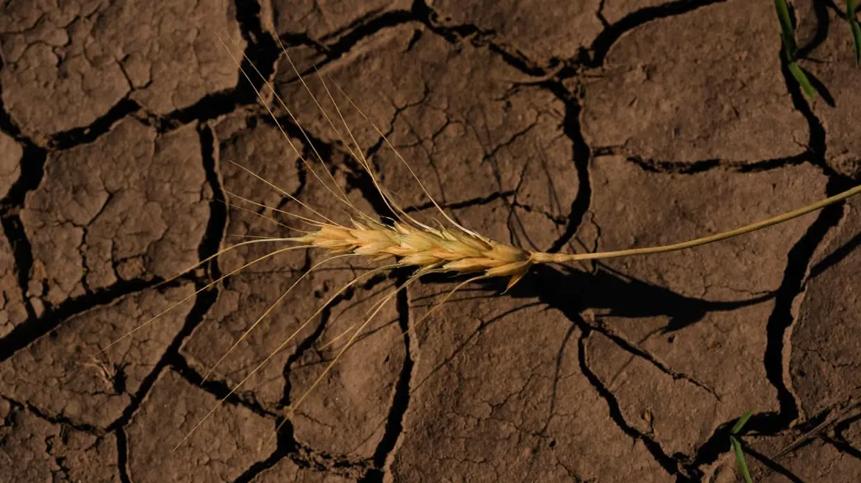 5712