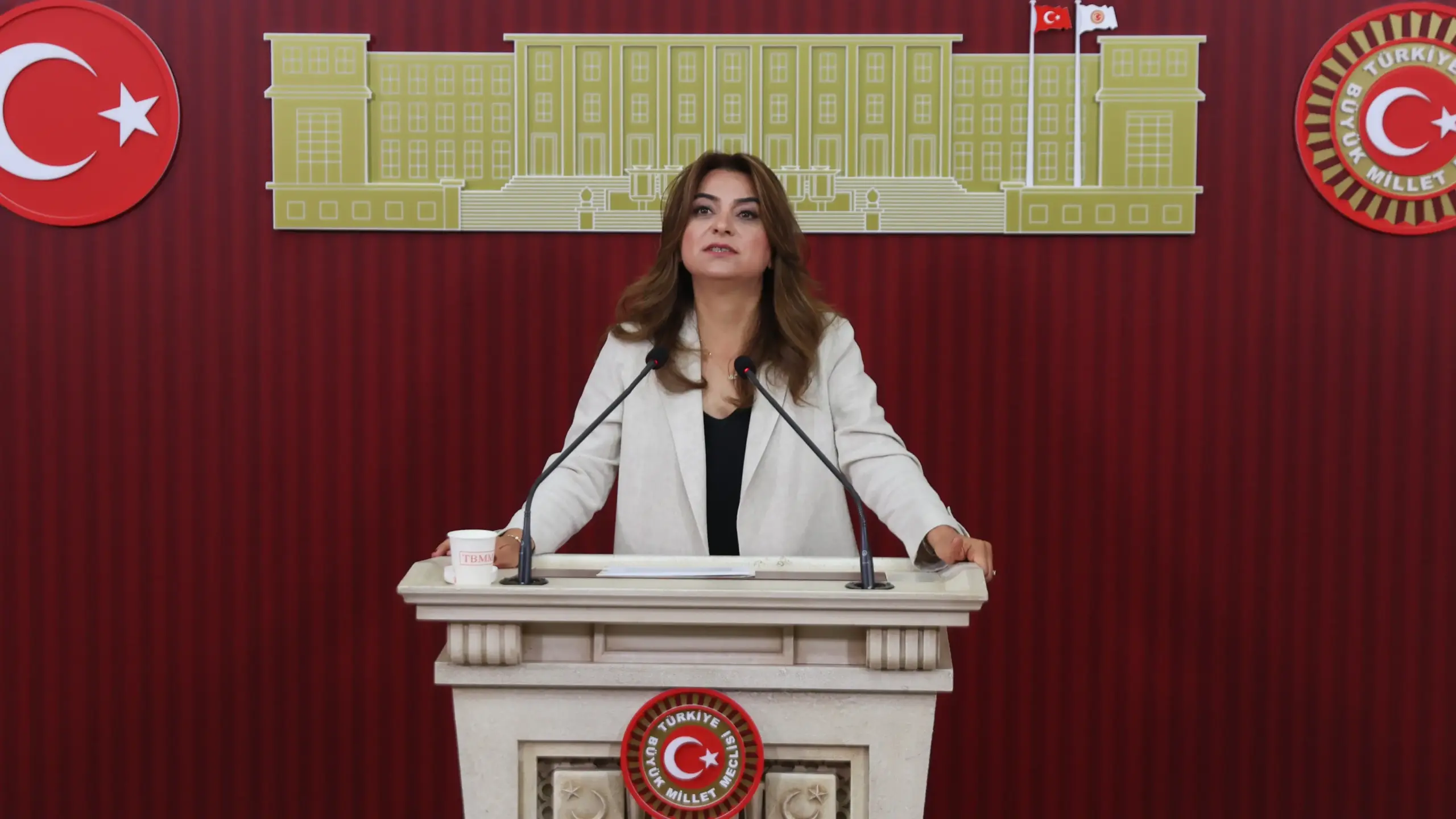 DEM Parti’den çerçeve yasa çağrısı