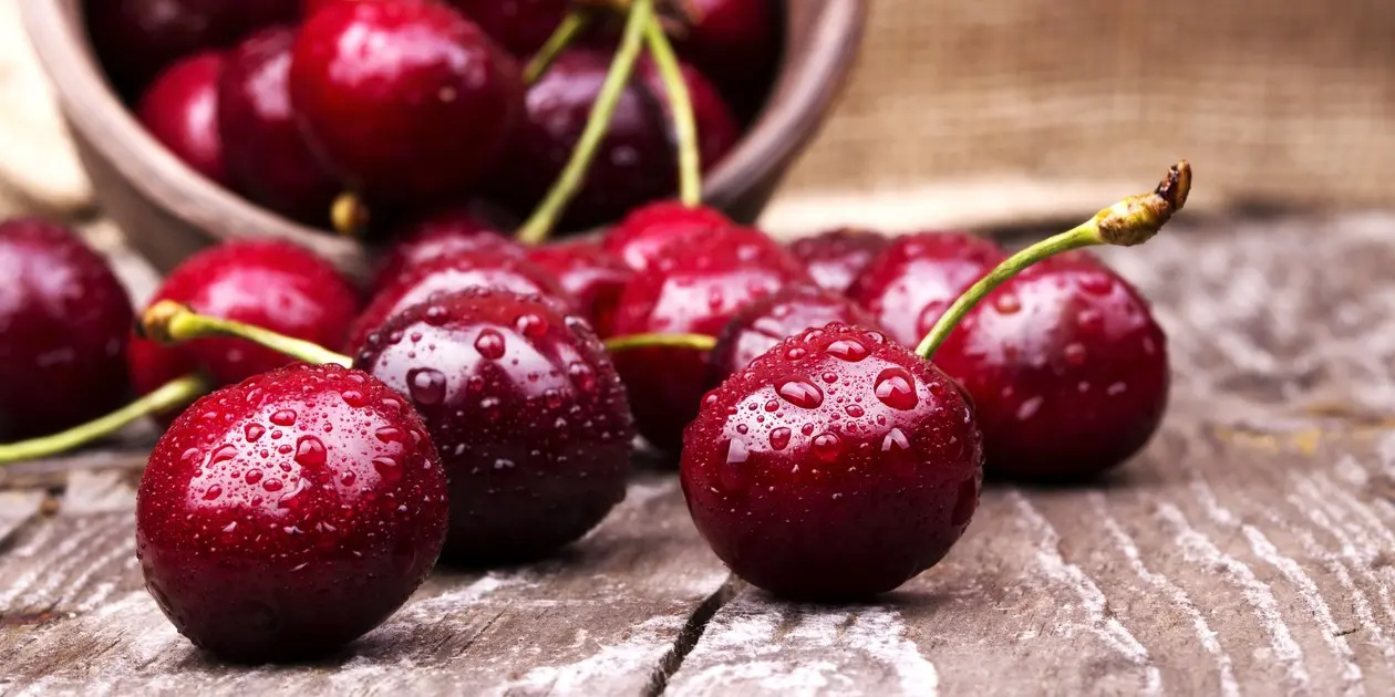 cherries-close-up_14072016