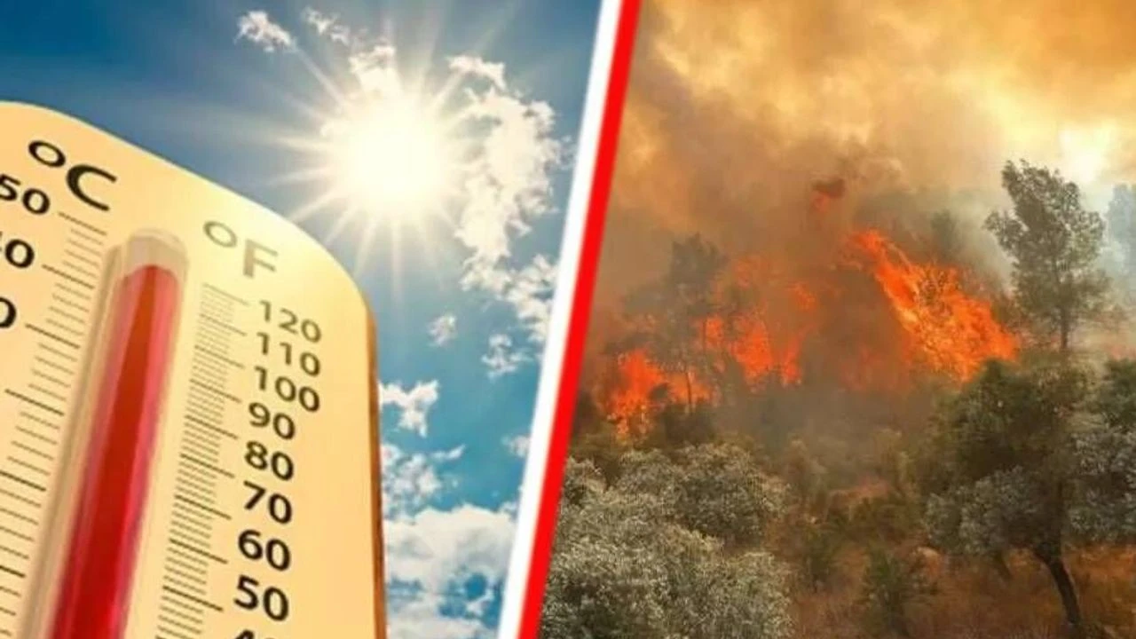 Can kayıpları 23 binin üzerinde