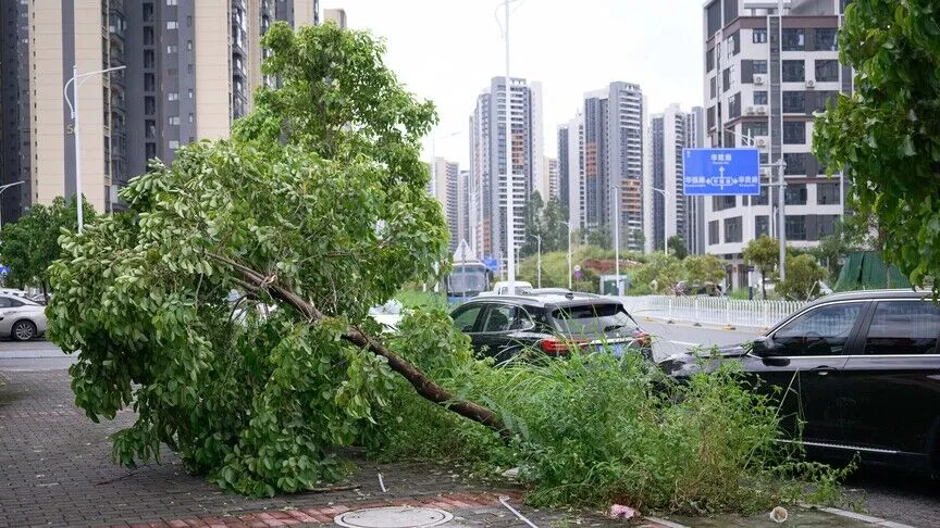 390 bin kişi tahliye edildi