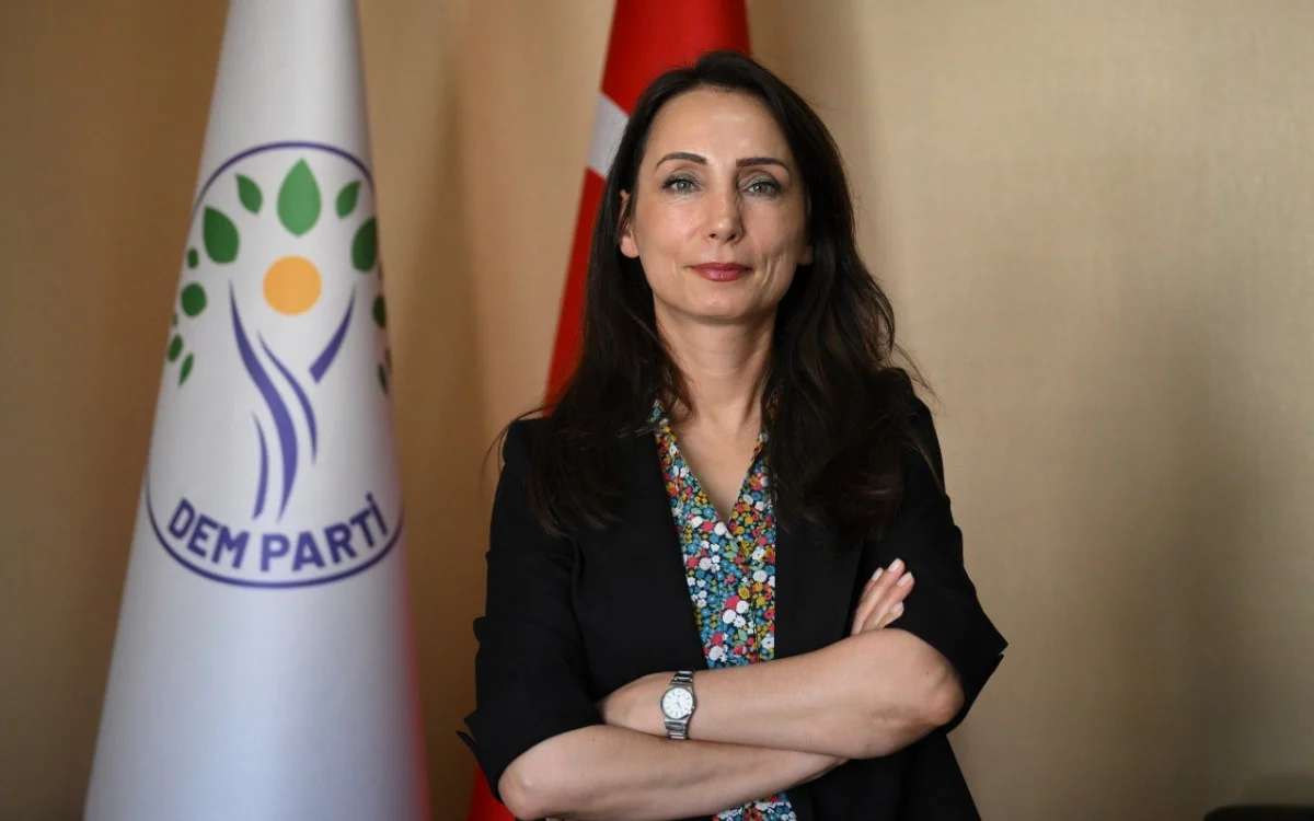 Çerçeve yasa: ‘Hızla devreye girmesi önemli’