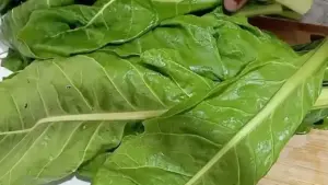 Pazı yerken bir kez daha düşünün: