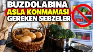 Buzdolabına konmaması gereken 5 sebze: Tezgâhta daha iyi saklanıyor