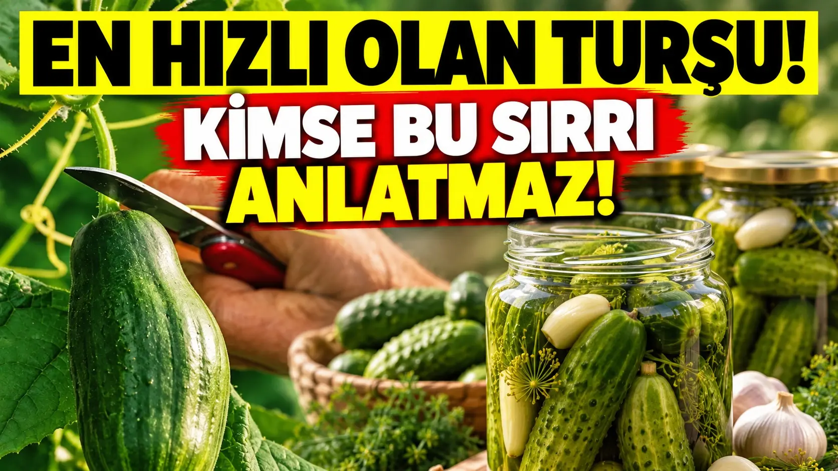 Hemen yemeye hazır olan turşu! 44 yıllık turşucudan aldığımız yöntem