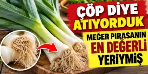 Pırasa temizlerken herkes aynı hatayı yapıyor: Bu kısmı atmayın