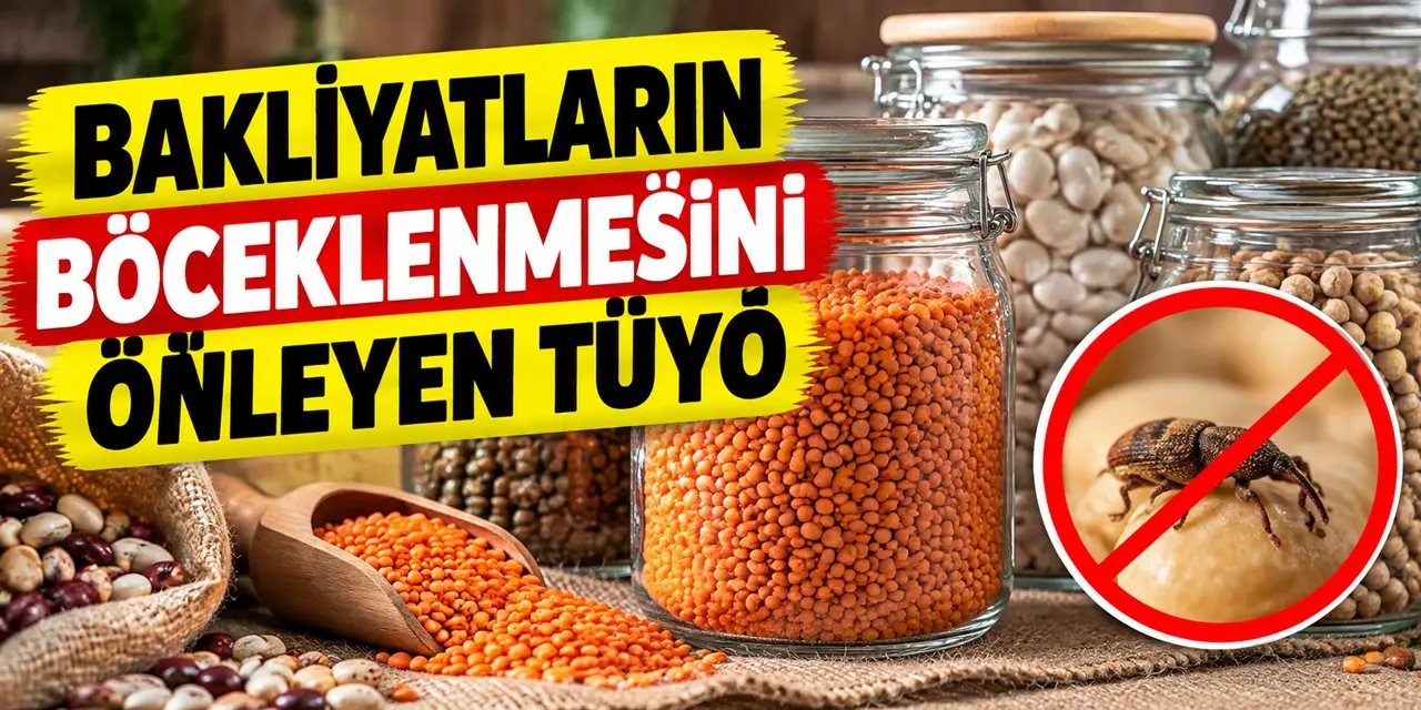 Bakliyatların böceklenmesini önleyen yöntem: Kavanoza koyarken buna dikkat