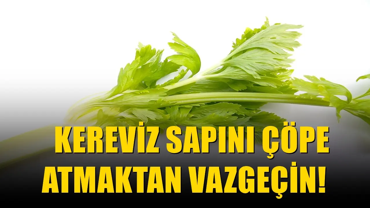 Kereviz saplarını çöpe atanların vazgeçeceği hata: Meğer mutfakta böyle kullanılıyormuş