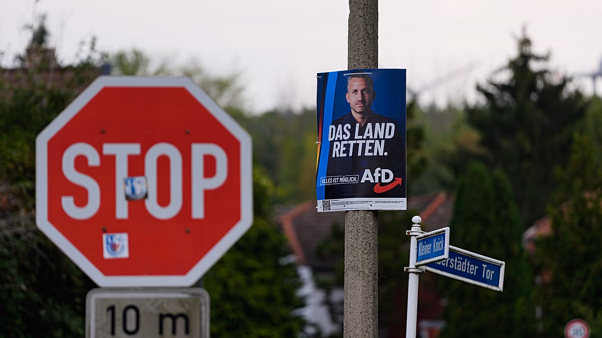 AfD zaferi kaygı yarattı