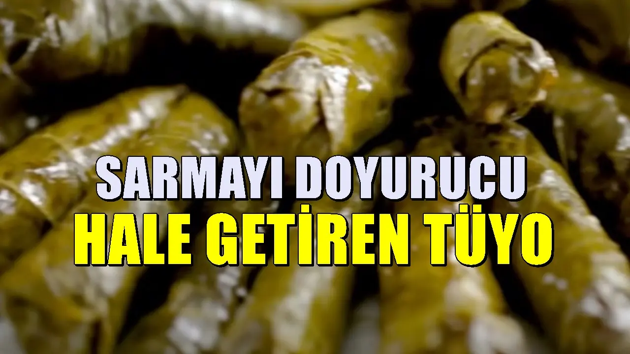 Yaprak sarmaya konulduğunda daha doyurucu oluyor: Birçok kişi bu yöntemi bilmiyor