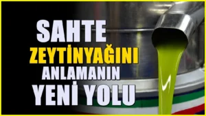 Sahte zeytinyağını bir bakışta anlamanın yolu.
