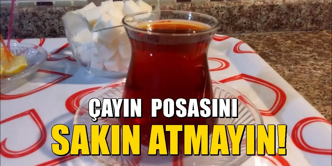 Demlediğiniz çayın posasını çöpe atmayın: Evde değerlendirmenin 5 yolu