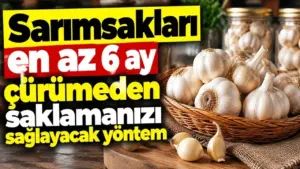 Sarımsakları en az 6 ay çürümeden saklamanızı sağlayacak yöntem