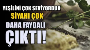 Hep yeşilini tüketiyoruz oysa siyahı şifa deposuymuş! 1 kaşık bile yetiyor