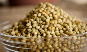 Et yemeklerine lezzet katan baharat: Bir tutam kişniş yeterli
