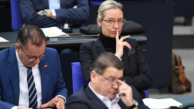 Aşırı sağcı Weidel’in bağış skandalı ortaya çıktı