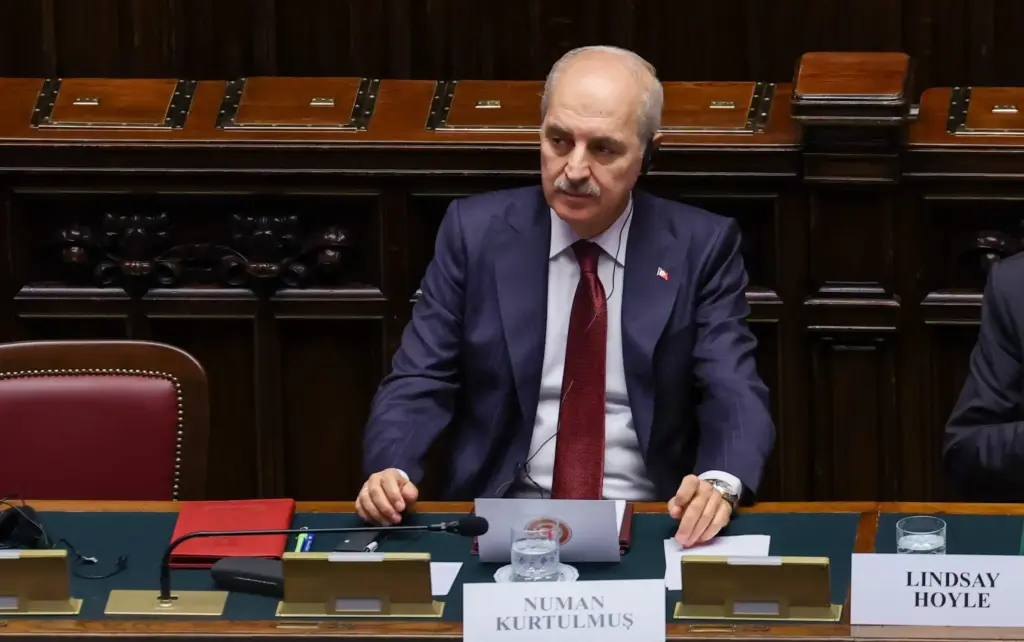 numan-kurtulmus